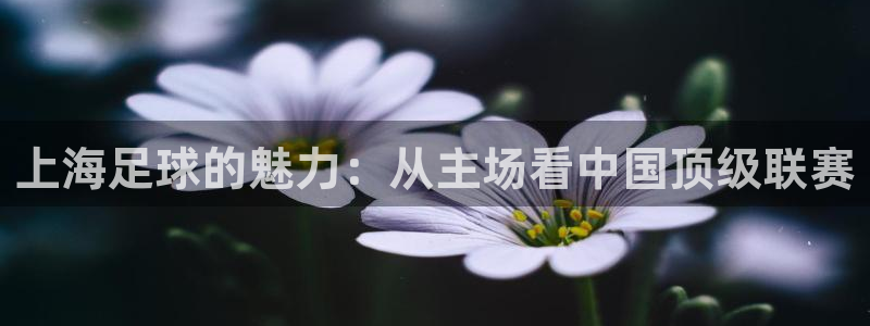 77体育平台官网607.最新的在哪里.中国